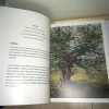 Ancient Irish Trees: A reflective journey through the year. - Image 2